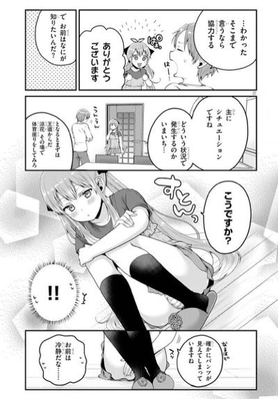 成田コウ×恵比須清司] 俺が好きなのは妹だけど妹じゃない 第01巻: 少年マンガのパンツ カウンター